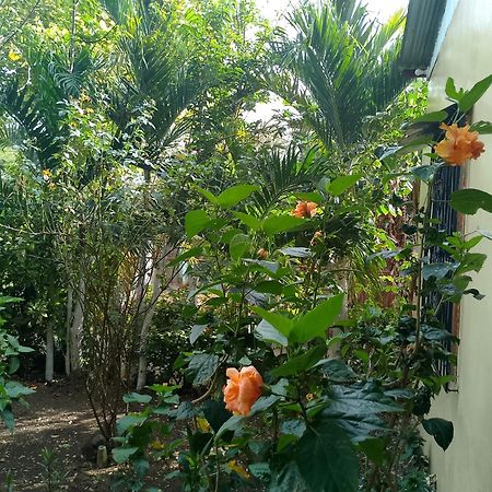 The Malinche Hostal Rivas Exterior photo