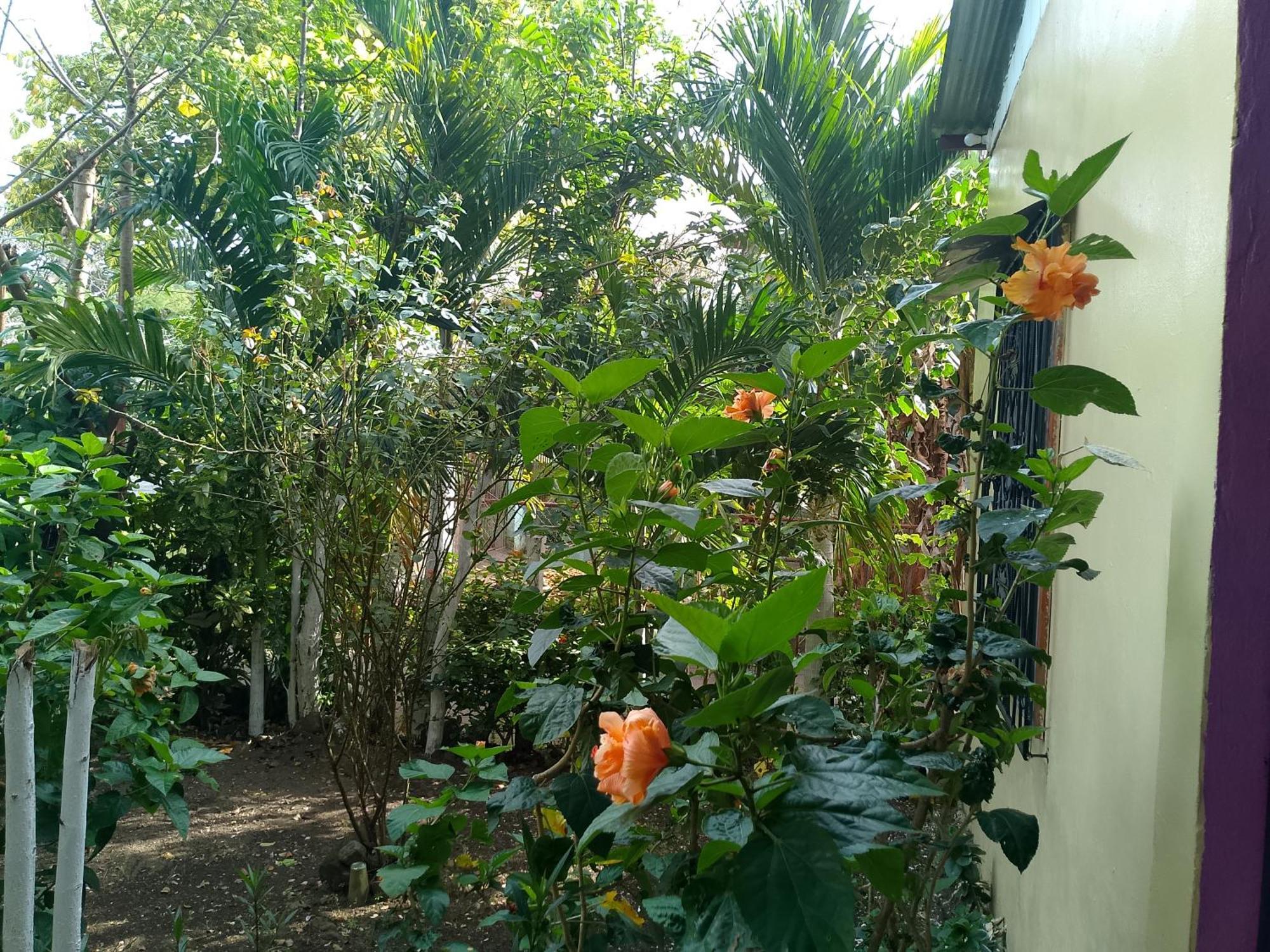 The Malinche Hostal Rivas Exterior photo